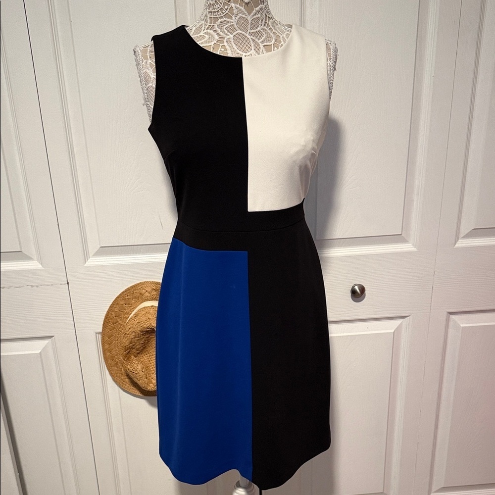 Tommy Hilfiger Colorblock Sleeveless Dress - Black, White, and Blue 6